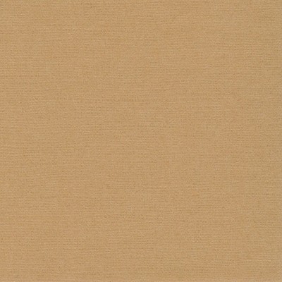 216.400x0.jpg
