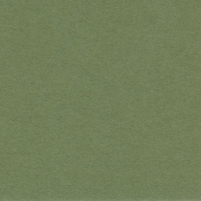 251.400x0.jpg