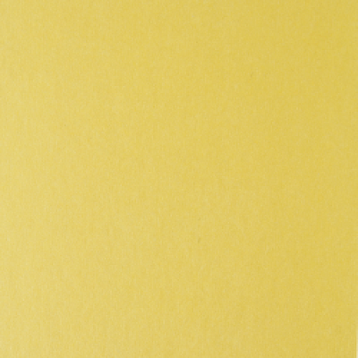 www504.400x0.jpg