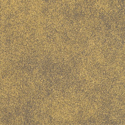 337.400x0.jpg