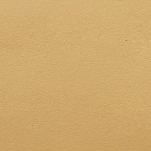 P 204 PASZPARTUKARTON