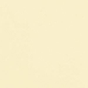 P 204 PASZPARTUKARTON