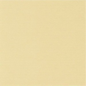 P 202 PASZPARTUKARTON