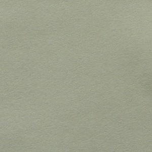 P 232 PASZPARTUKARTON