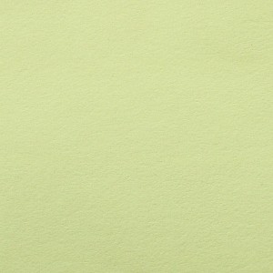 P 216 PASZPARTUKARTON