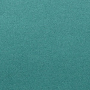 P 229 PASZPARTUKARTON