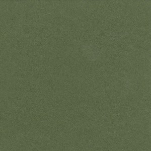 P 217 PASZPARTUKARTON