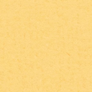 P 787 PASZPARTUKARTON