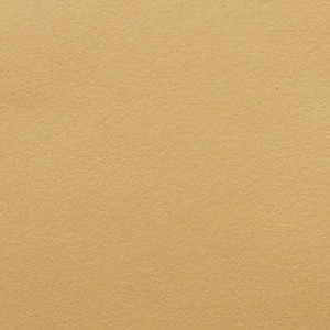 P 205 PASZPARTUKARTON